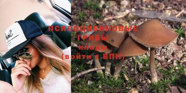 PSILOCYBIN Переславль-Залесский
